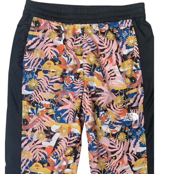 The North Face Hydrenaline Windwall Multicolor Printed Joggers w/Pockets Small - Picture 1 of 13